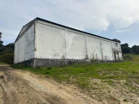 Armazém com terreno em aveiras de cima