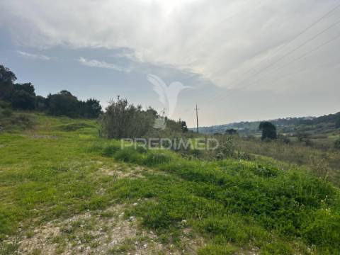 Armazém com terreno em aveiras de cima