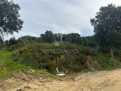 Armazém com terreno em aveiras de cima