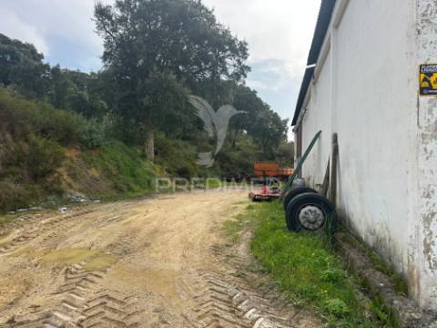 Armazém com terreno em aveiras de cima