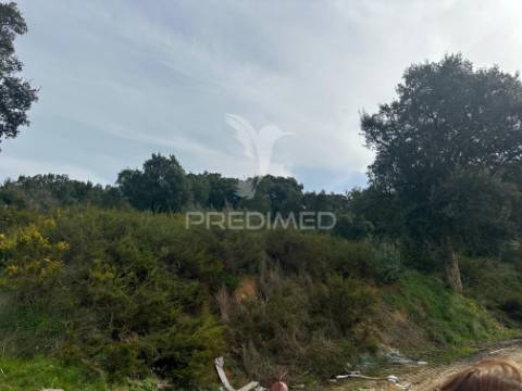 Armazém com terreno em aveiras de cima