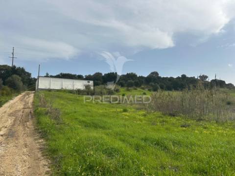 Armazém com terreno em aveiras de cima