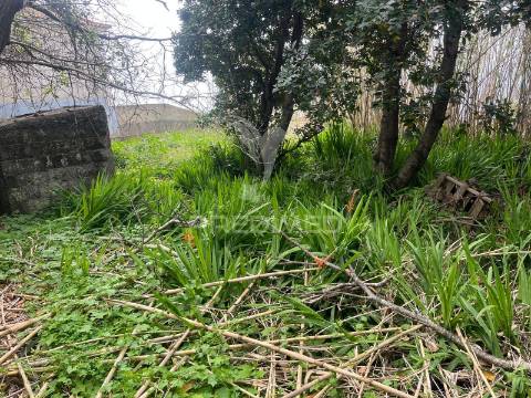 Moradia e palheiro para recuperação na p. pargo junto ao campo de golfe