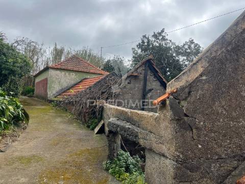 Moradia e palheiro para recuperação na p. pargo junto ao campo de golfe