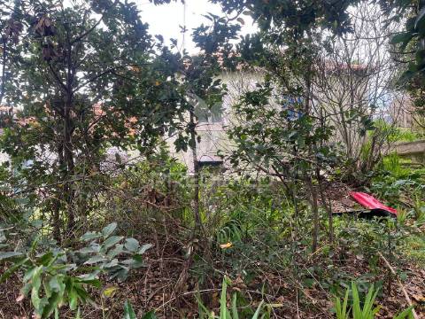 Moradia e palheiro para recuperação na p. pargo junto ao campo de golfe