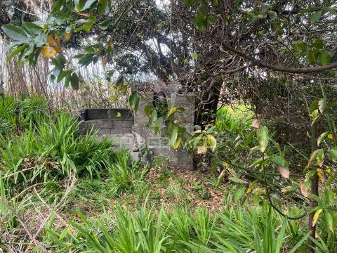 Moradia e palheiro para recuperação na p. pargo junto ao campo de golfe