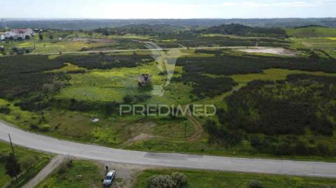 Terreno rústico com 7,3ha, com um moinho, no azinhal