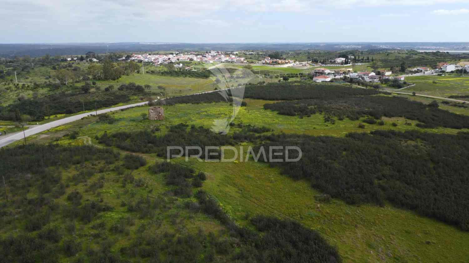 Terreno rústico com 7,3ha, com um moinho, no azinhal