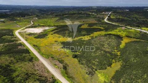 Terreno rústico com 7,3ha, com um moinho, no azinhal