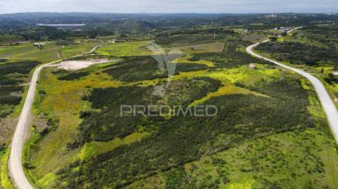 Terreno rústico com 7,3ha, com um moinho, no azinhal