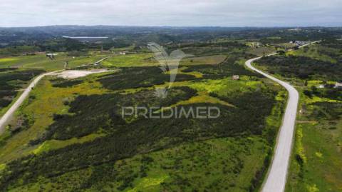 Terreno rústico com 7,3ha, com um moinho, no azinhal