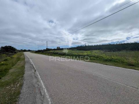 Terreno rústico com 7,3ha, com um moinho, no azinhal