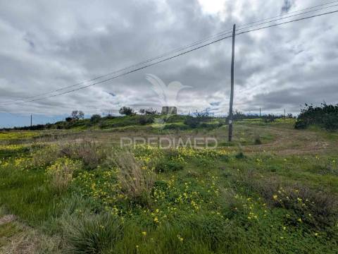 Terreno rústico com 7,3ha, com um moinho, no azinhal