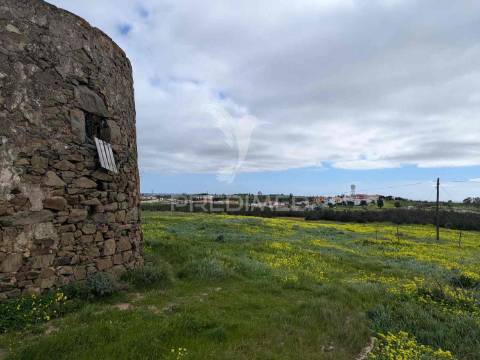 Terreno rústico com 7,3ha, com um moinho, no azinhal