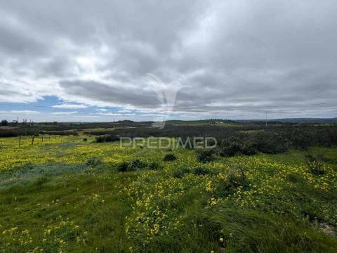 Terreno rústico com 7,3ha, com um moinho, no azinhal