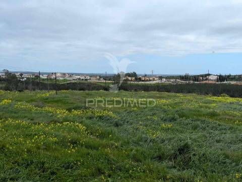 Terreno rústico com 7,3ha, com um moinho, no azinhal