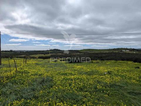 Terreno rústico com 7,3ha, com um moinho, no azinhal