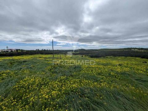 Terreno rústico com 7,3ha, com um moinho, no azinhal
