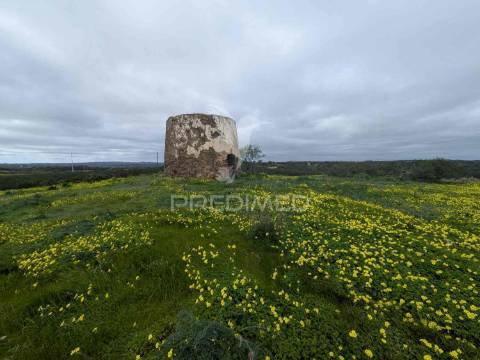 Terreno rústico com 7,3ha, com um moinho, no azinhal