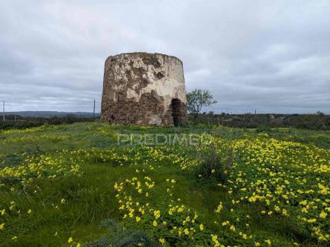 Terreno rústico com 7,3ha, com um moinho, no azinhal