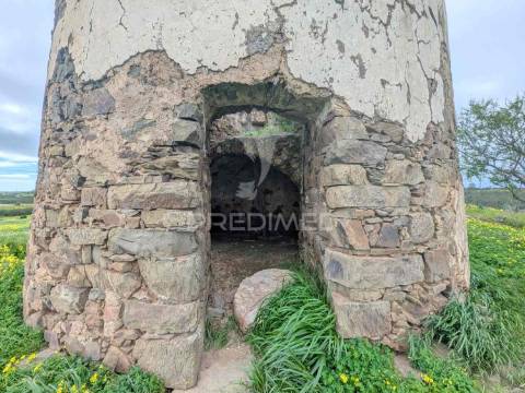 Terreno rústico com 7,3ha, com um moinho, no azinhal