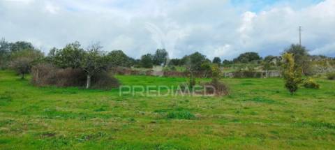 Terreno rústico