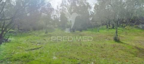 Terreno rústico