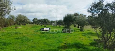 Terreno rústico