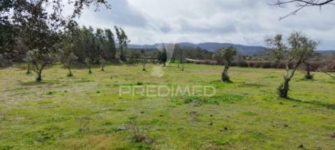 Terreno rústico