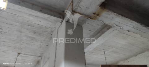 Moradia com quintal e garagem