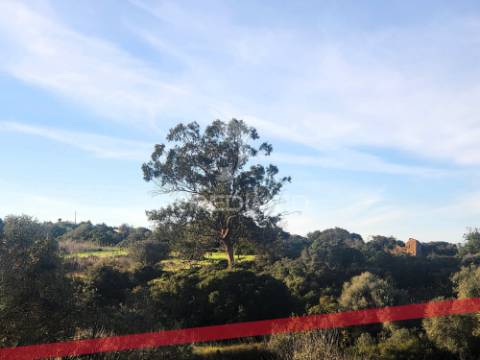 Terreno rústico com ruína