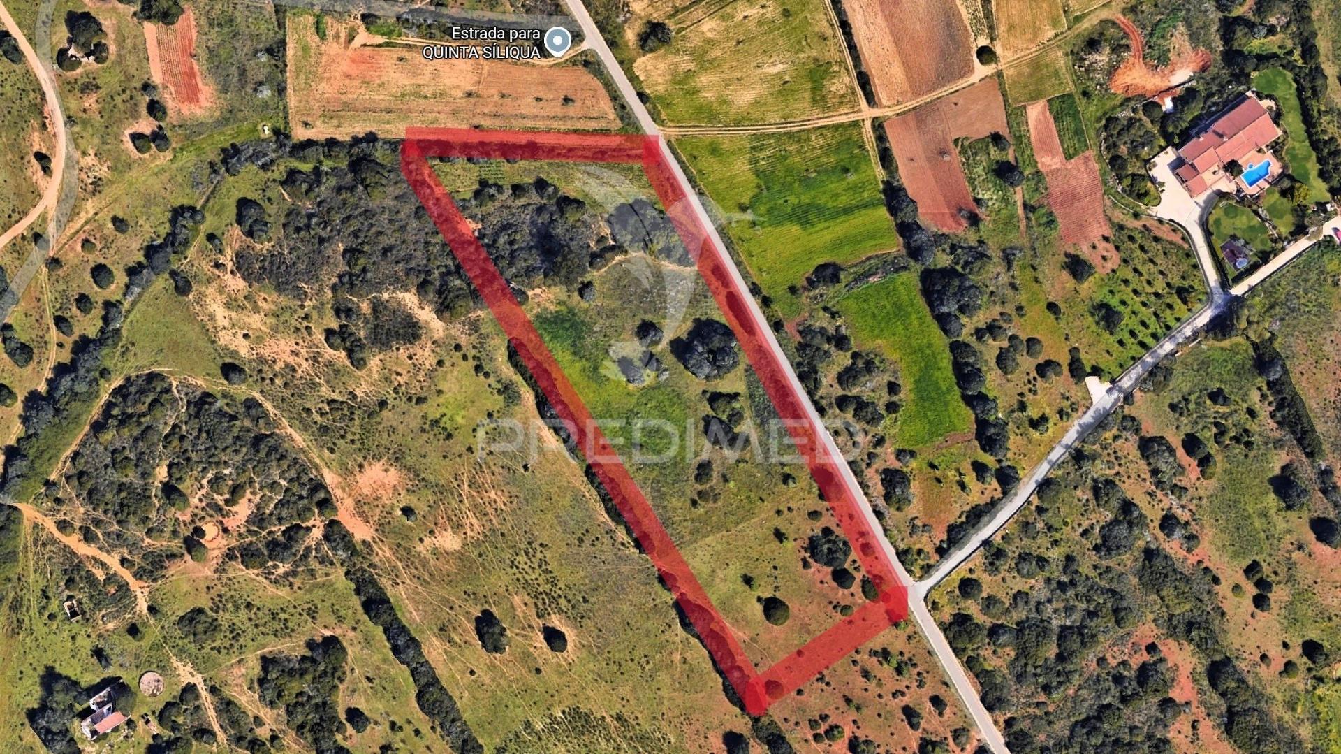 Terreno rústico com ruína