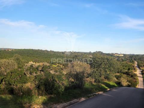 Terreno rústico com ruína