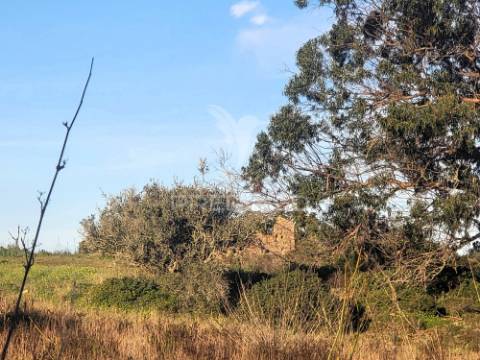 Terreno rústico com ruína