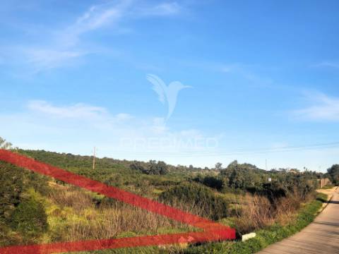 Terreno rústico com ruína