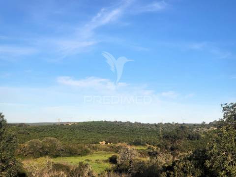 Terreno rústico com ruína