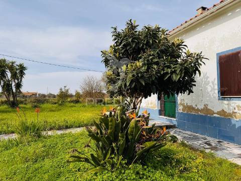 Moradia de campo na quinta do anjo – terreno com 4.520 m²