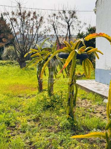 Moradia de campo na quinta do anjo – terreno com 4.520 m²