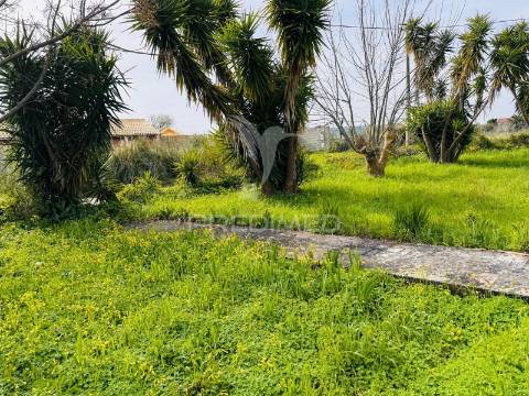 Moradia de campo na quinta do anjo – terreno com 4.520 m²