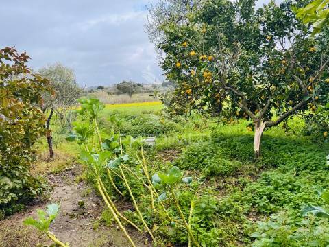 Moradia de campo na quinta do anjo – terreno com 4.520 m²