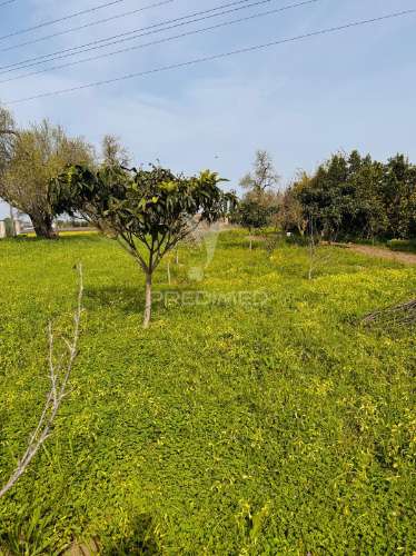 Moradia de campo na quinta do anjo – terreno com 4.520 m²