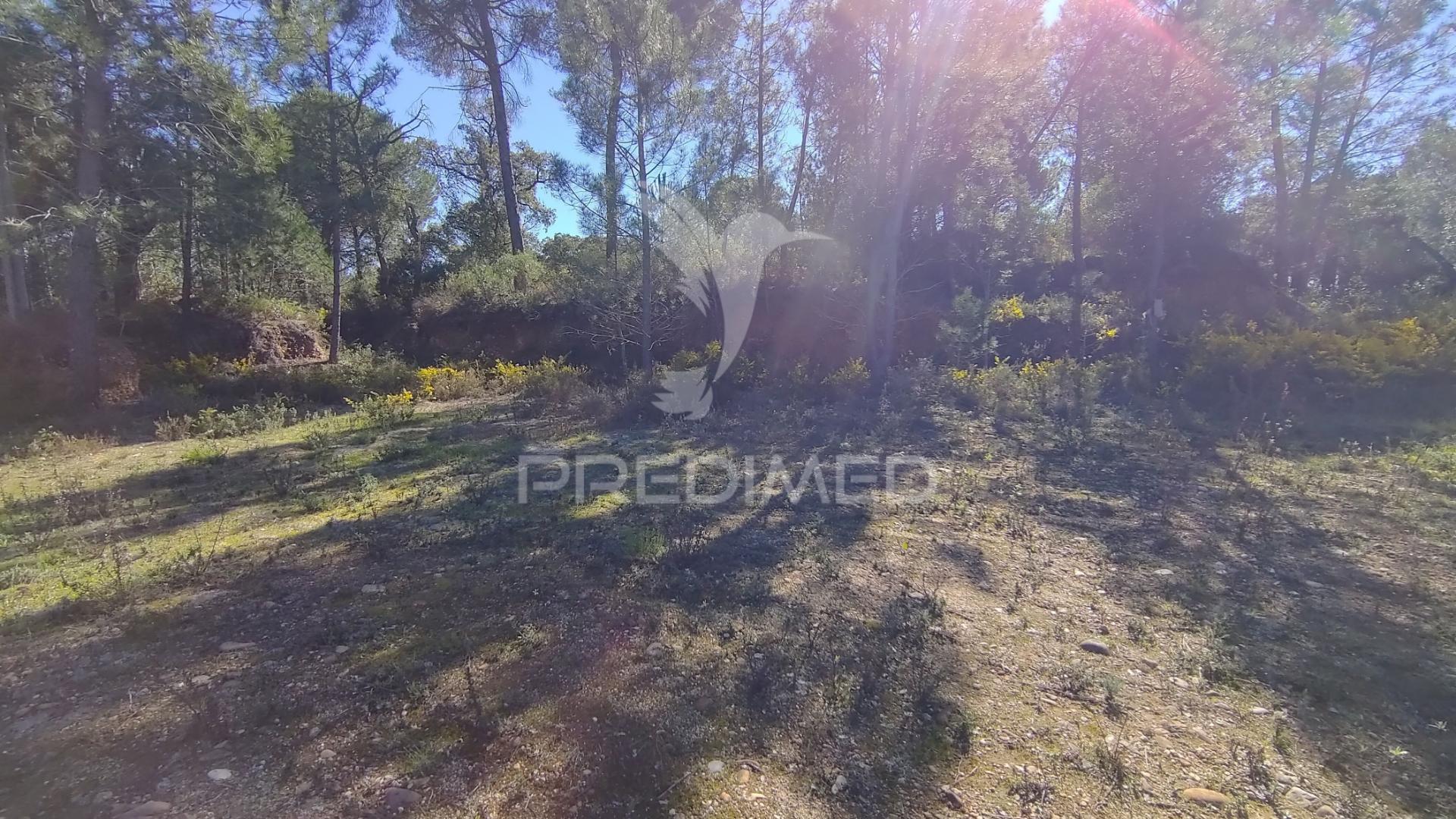 Terreno rústico 1440 m2