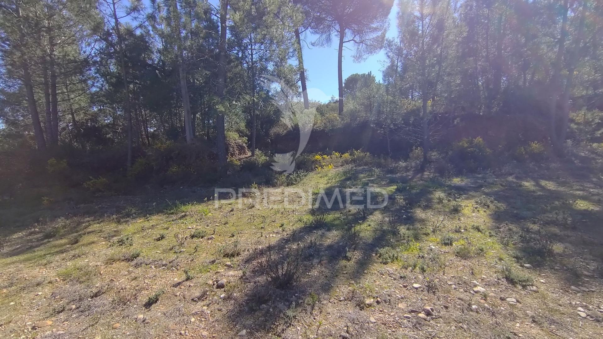 Terreno rústico 1440 m2