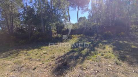 Terreno rústico 1440 m2