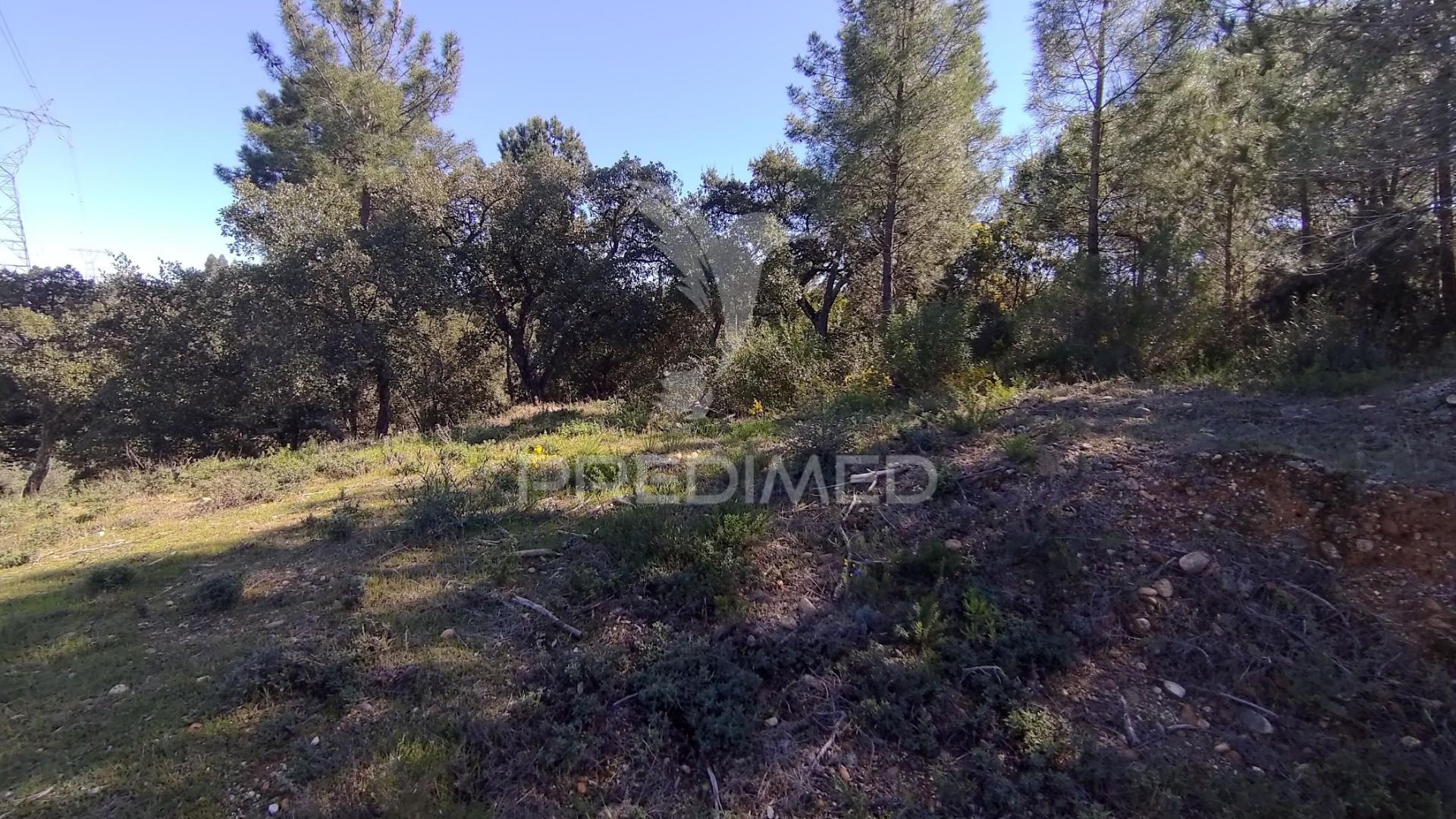 Terreno rústico 1440 m2