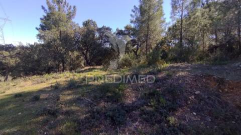 Terreno rústico 1440 m2