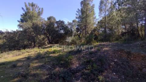 Terreno rústico 1440 m2