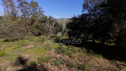 Terreno rústico 1440 m2