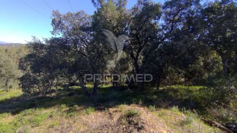 Terreno rústico 1440 m2