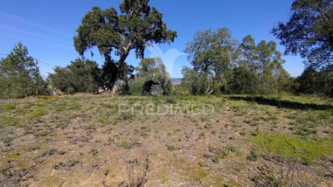 Terreno rústico 1640 m2